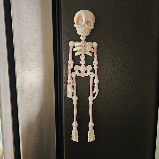MAGNETIC SKELETON- 3D PRINTED- VARIETY OF COLORS