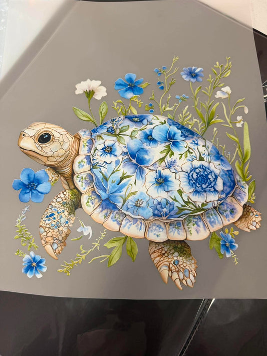 Baby Blue Turtle Tshirt