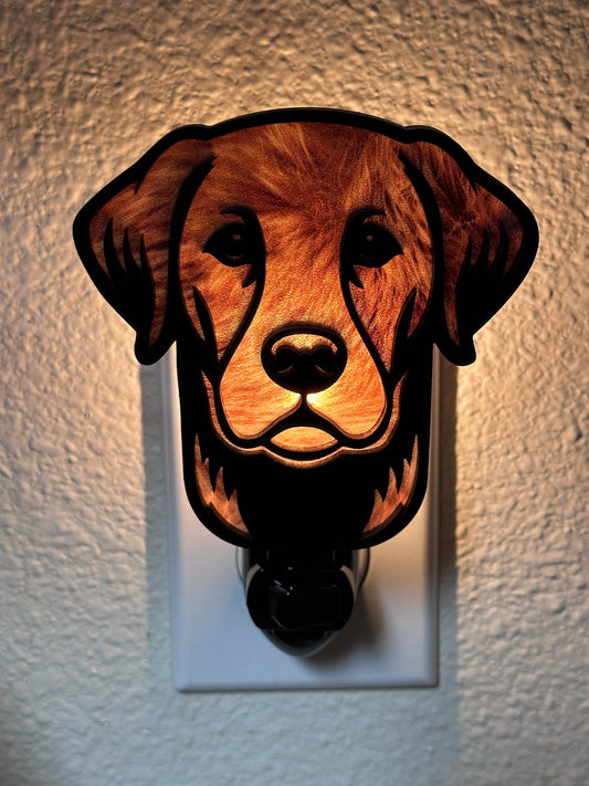 Sea Turtle - Handcrafted Night Lights