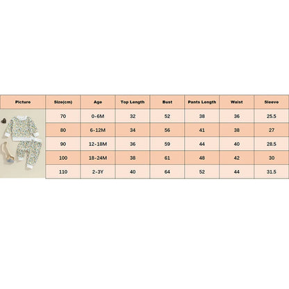 Baby Toddler Girls 2Pcs Outfit Floral Flowers Long Sleeve Crew Neck Top with Elastic Waist Pants Set