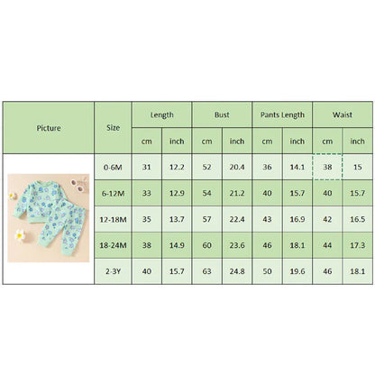 Baby Toddler Girls 2Pcs Fall Set Long Sleeve O Neck Floral Flower Print Top Elastic Waist Pants Set